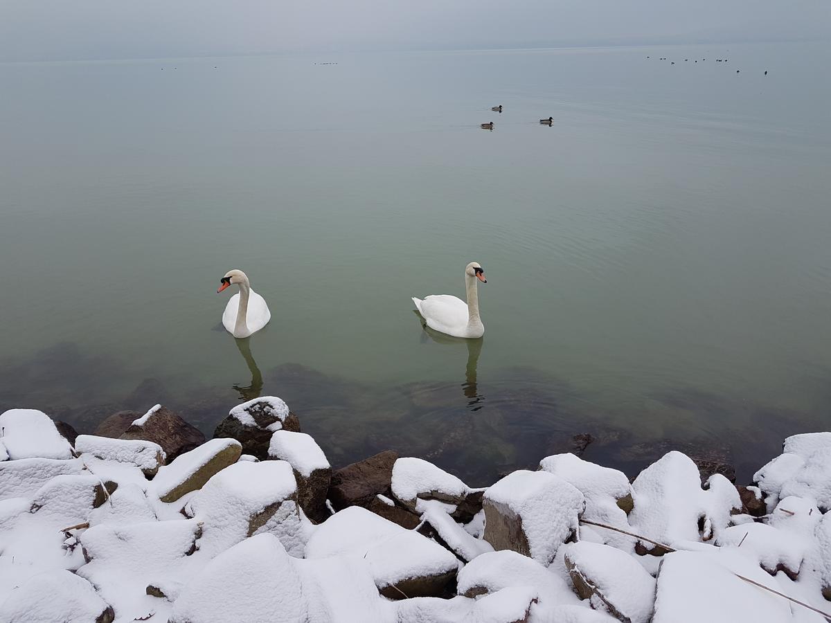 Saba-Haz Hotell Balatonboglár Exteriör bild